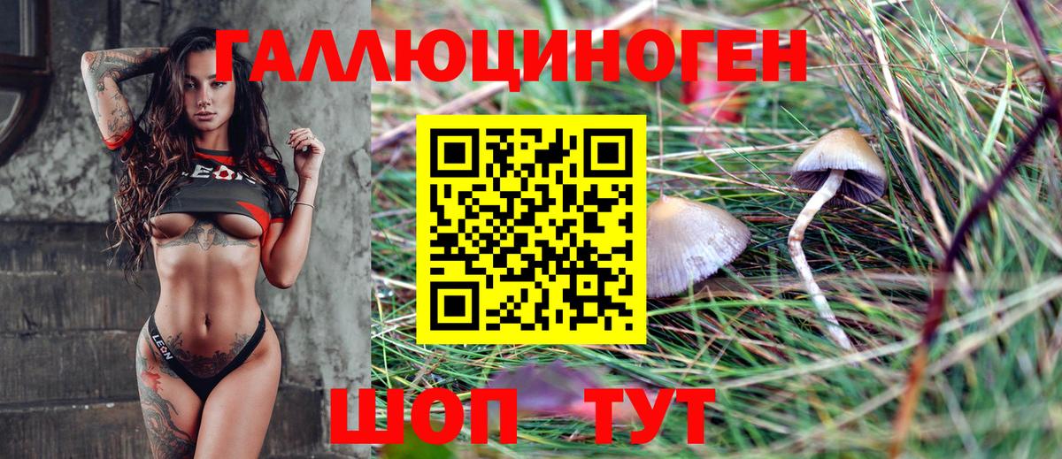 Галлюциногенные грибы Magic Shrooms  Вход с VPN  Псилоцибиновые грибы Cubensis  Лабинск 