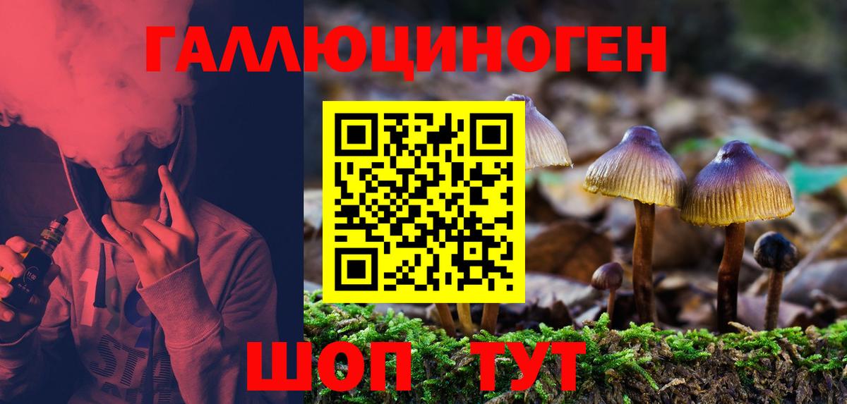 Псилоцибиновые грибы GOLDEN TEACHER Лабинск